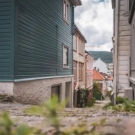 Apartment City Center Historic Area Cozy House & Area Walking Distance Bergen